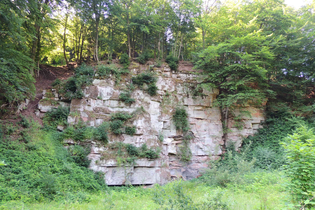 Führung: Route der Sandsteinbrüche | © Stadt Eberbach