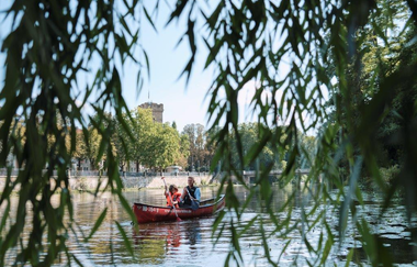 Das Bild ist durch die hängenden Blätter einer Trauerweide fotografiert. Durch eine freie Stelle sieht man zwei Personen auf einem roten Kanu im Neckar.