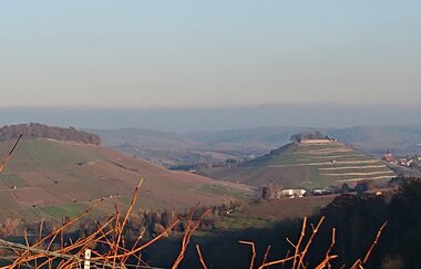 Blick auf die Weibertreu Weinsberg / HeilbronnerLand | © Gerhard Schnaberich