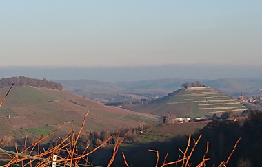 Blick auf die Weibertreu Weinsberg / HeilbronnerLand | © Gerhard Schnaberich