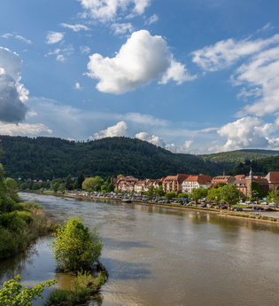 Geführte Tour: Stadt, Land(schaft), Fluss | © Stadt Eberbach / Andreas Held