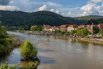 Geführte Tour: Stadt, Land(schaft), Fluss | © Stadt Eberbach / Andreas Held