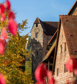 Geführte Tour: Stauferstadt Eberbach | © Stadt Eberbach / Andreas Held