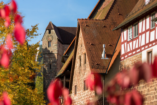 Geführte Tour: Stauferstadt Eberbach | © Stadt Eberbach / Andreas Held