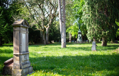 Auf einer Wiesenfläche steht ein grauer Grabstein, mit verzierenden Elementen. Im Hintergrund sind hell- und dunkelgrüne Bäume zu sehen. Der Platz hinter dem Grabstein ist schattig, weiter hinten gibt es auch sonnige Flächen.