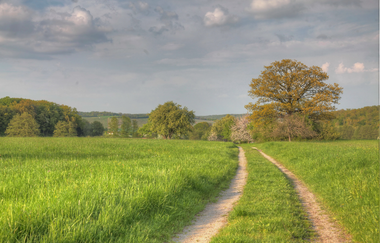 Genuss am See | Weinerlebnisführung im Naturpark Stromberg-Heuchelberg mit Heide Bezner | © Land der 1000 Hügel - Kraichgau-Stromberg