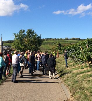 Genussvolle WeinWanderung im Herbst