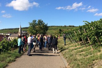 Genussvolle WeinWanderung im Herbst