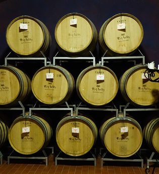 Weinkeller Rolf Willy | Privatkellerei | © Neckar-Zaber-Tourismus e.V.