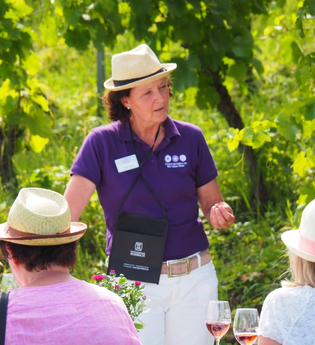 WeinErlebnisTour mit WeinErlebnisFührerin Daisy Knisel | HeilbronnerLand | © Daisy Knisel