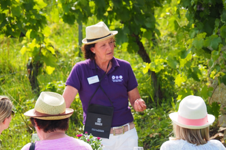 WeinErlebnisTour mit WeinErlebnisFührerin Daisy Knisel | HeilbronnerLand | © Daisy Knisel