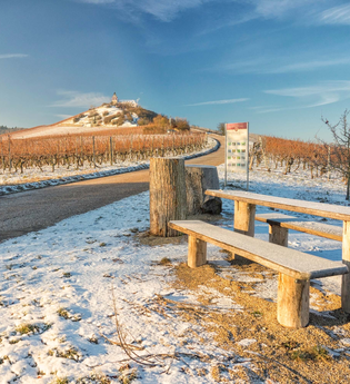 Michaelsberg Cleebronn im Schnee | © Touristikgemeinschaft HeilbronnerLand