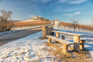 Michaelsberg Cleebronn im Schnee | © Touristikgemeinschaft HeilbronnerLand