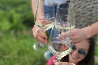 Auf Weintour mit der Weinschmeckerin Nicole Halter | Heilbronn | © Die Weinschmeckerin Nicole Halter