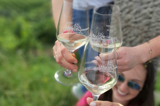 Auf Weintour mit der Weinschmeckerin Nicole Halter | Heilbronn | © Die Weinschmeckerin Nicole Halter