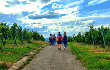 Weintour im Wartberg Heilbronn | © Die Weinschmeckerin Nicole Halter