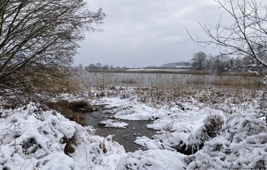 Gräben, Mönche, Teiche