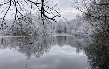 Gräben, Mönche, Teiche