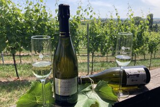 zwei Sektflöten mit Sekt darin und zwei Weinflaschen auf einem Geländer, im Hintergrund Weinlandschaft
