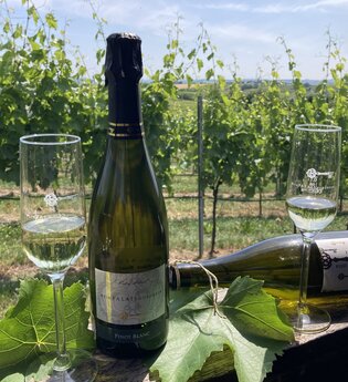 zwei Sektflöten mit Sekt darin und zwei Weinflaschen auf einem Geländer, im Hintergrund Weinlandschaft | © Nicole Betz