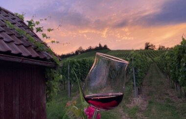 Gruppenangebot - SUNDOWNER am Heuchelberg
