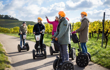 Auf dem Bild sieht man eine Gruppe von Personen auf Segways. Eine Person zeigt auf  etwas. Die Gruppe ist auf einem Weg zwischen unzähligen Weinreben in den Weinbergen.
