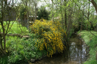 Heimat erleben | © Stadt Kraichtal