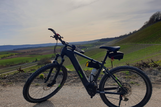 Heuchelberg auf Rad und Pfad | E-Bike Tour