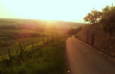Heuchelberg auf Rad und Pfad | E-Bike Tour
