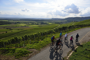 Geführte Radtouren mit Bike- & Touren-Guide Wolfgang Keimp | HeilbronnerLand | © Wolfgang Keimp
