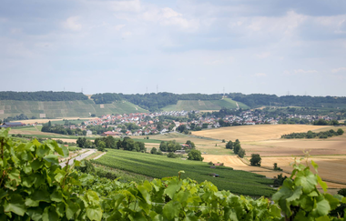 Ansichten Kleingartach, Weinberg, Stadt Eppingen | © Stadt Eppingen