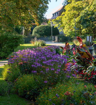 Führung jüdisches Öhringen | © Stadt Öhringen