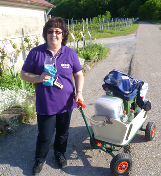 Rosemarie Seyb | Weinerlebnisführerin |  HeilbronnerLand | © Rosemarie Seyb