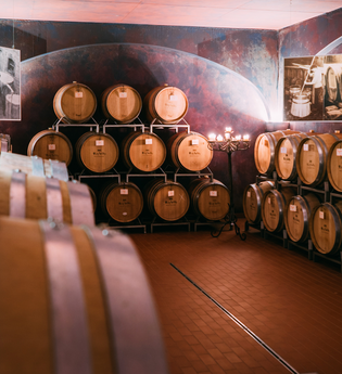 Privatkellerei Rolf Willy | © Privatkellerei Rolf Willy