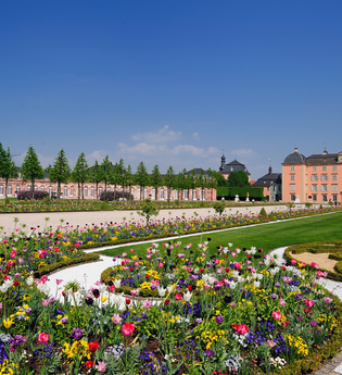 Klassische Gartenführung | © Stadt Schwetzingen