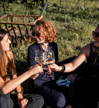 klassische Weinprobe | Landgut Steng