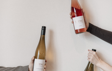 klassische Weinprobe | Landgut Steng