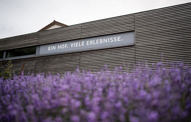 klassische Weinprobe | Landgut Steng