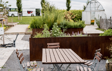 klassische Weinprobe | Landgut Steng