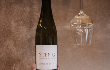 klassische Weinprobe | Landgut Steng