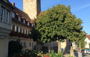 Kostümführung "Lauffener Bote"