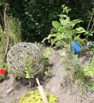 Kräuter-Erlebnisspaziergang mit Gästeführerin Annette Häffele in Kraichtal-Menzingen | © Stadt Kraichtal