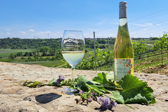 Naturspaziergang mit Verkostung | © Stadt Bönnigheim