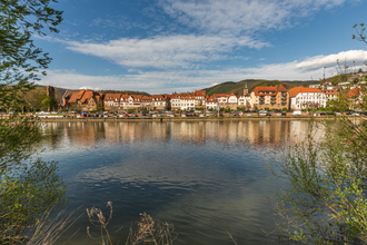 Kräuterführung Wilde Weggesellen | © Stadt Eberbach / Andreas Held