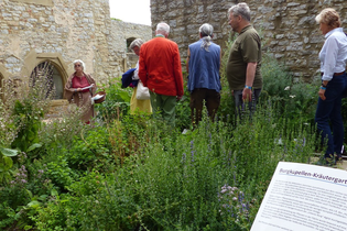 Kräuterführung mit Ingrid Hagner auf der Burg Hornberg | Neckarzimmern | © Burg Hornberg