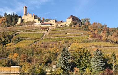 Burg Hornberg mit Weinberg | Neckarzimmern | © Burg Hornberg