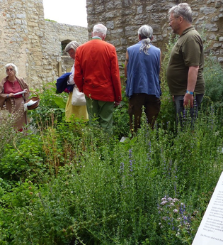 Kräuterführung mit Ingrid Hagner auf der Burg Hornberg | Neckarzimmern | © Burg Hornberg