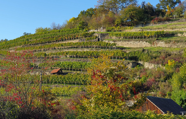 Kultur, Natur und Kunstgenuss – Maulbronn neu entdecken | © Stadt Maulbronn
