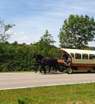 Zwei schwarze Pferde ziehen einen Planwagen mit lustiger Gesellschaft durch Hohenlohe | © Touristikgemeinschaft Hohenlohe e.V. | Fahrstall Wieland