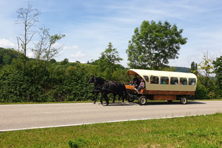 Zwei schwarze Pferde ziehen einen Planwagen mit lustiger Gesellschaft durch Hohenlohe | © Touristikgemeinschaft Hohenlohe e.V. | Fahrstall Wieland